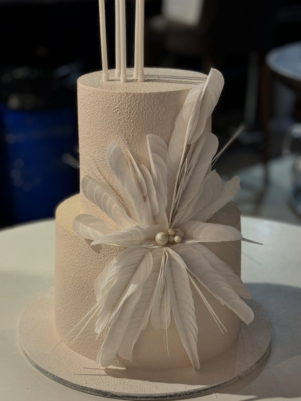 Two-tiered cream textured cake decorated with large white feathers and small pearls.