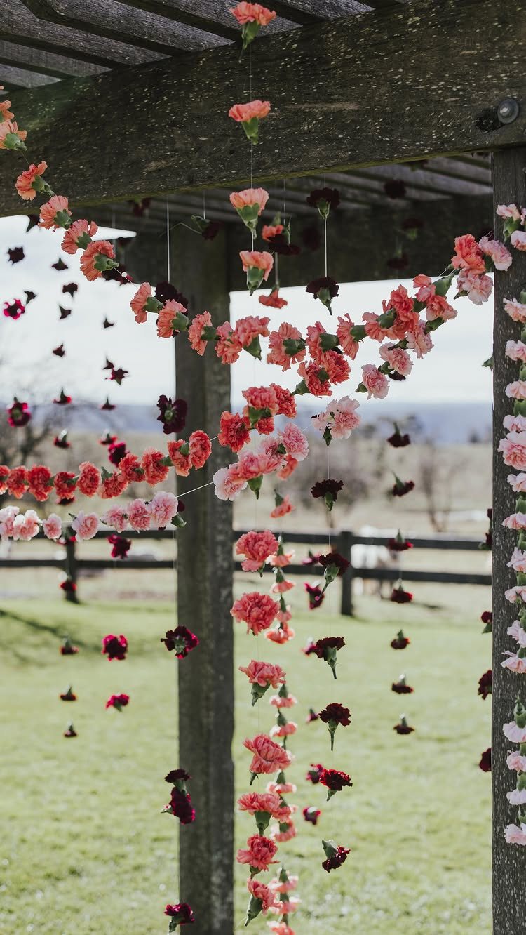Pink and red carnations hanging from a wooden pergola in a grassy outdoor setting.