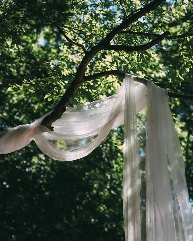 White sheer fabric draped over a tree branch amidst green forest foliage and sunlight.