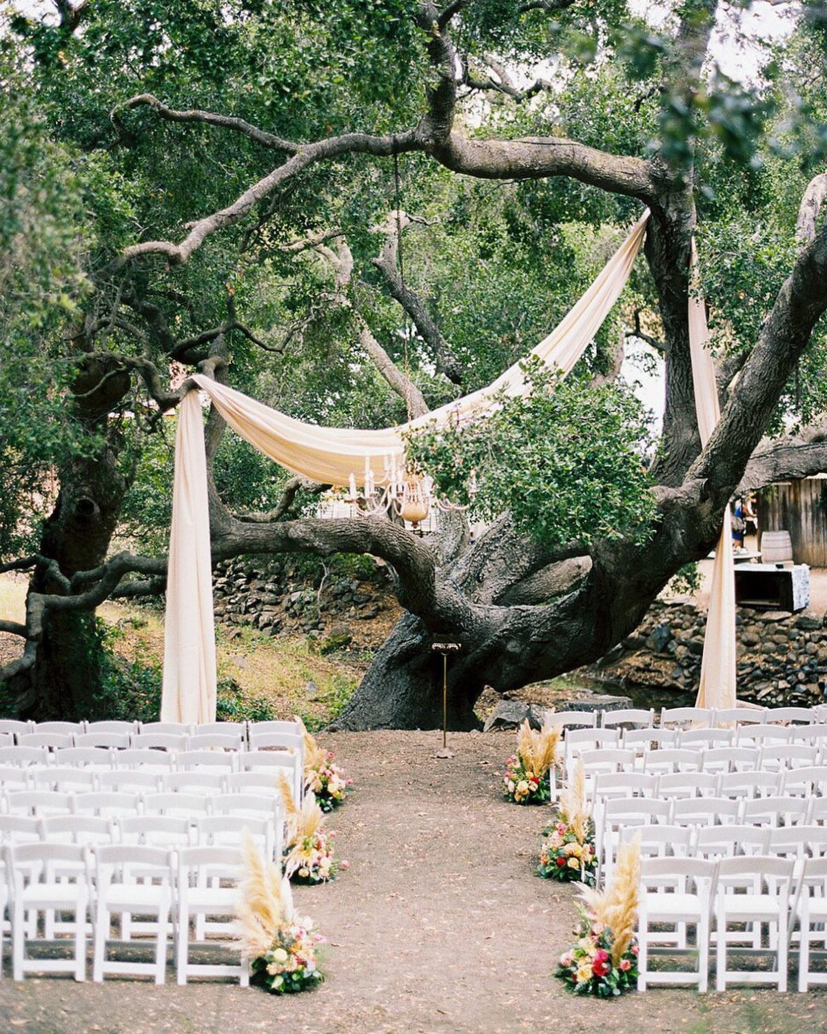 Large oak tree with draped cream fabric serving as a wedding ceremony altar backdrop.