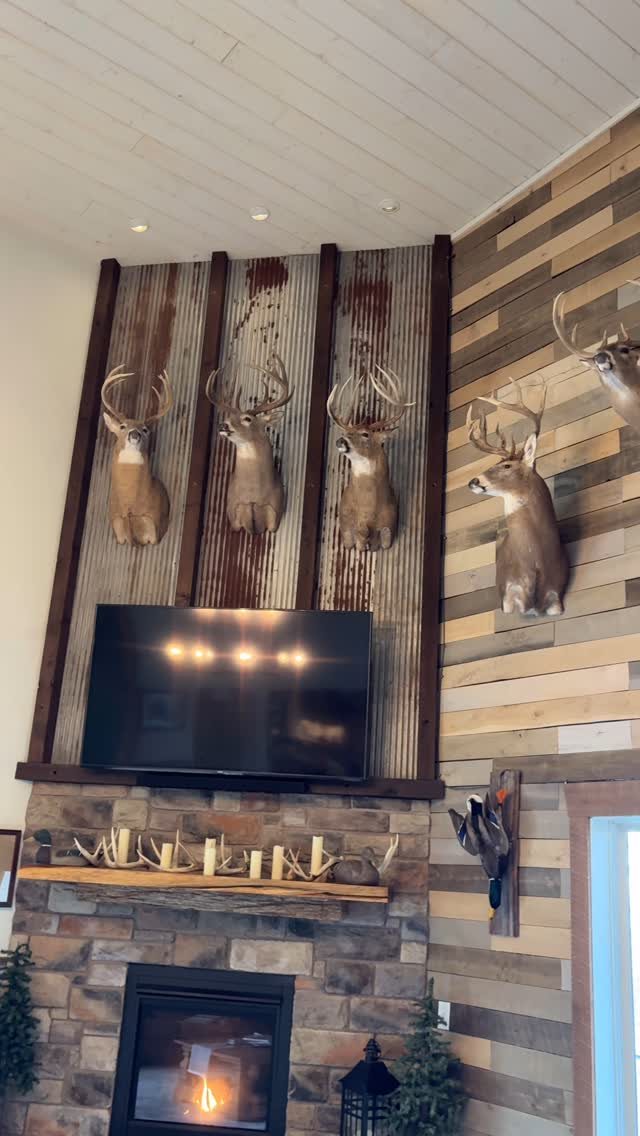 Wooden plank accent wall featuring deer head mounts above a television and stone fireplace.