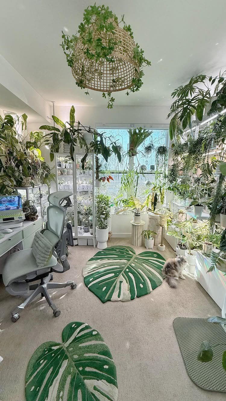 A bright room filled with many green indoor plants, hanging vines, and leaf-shaped rugs.