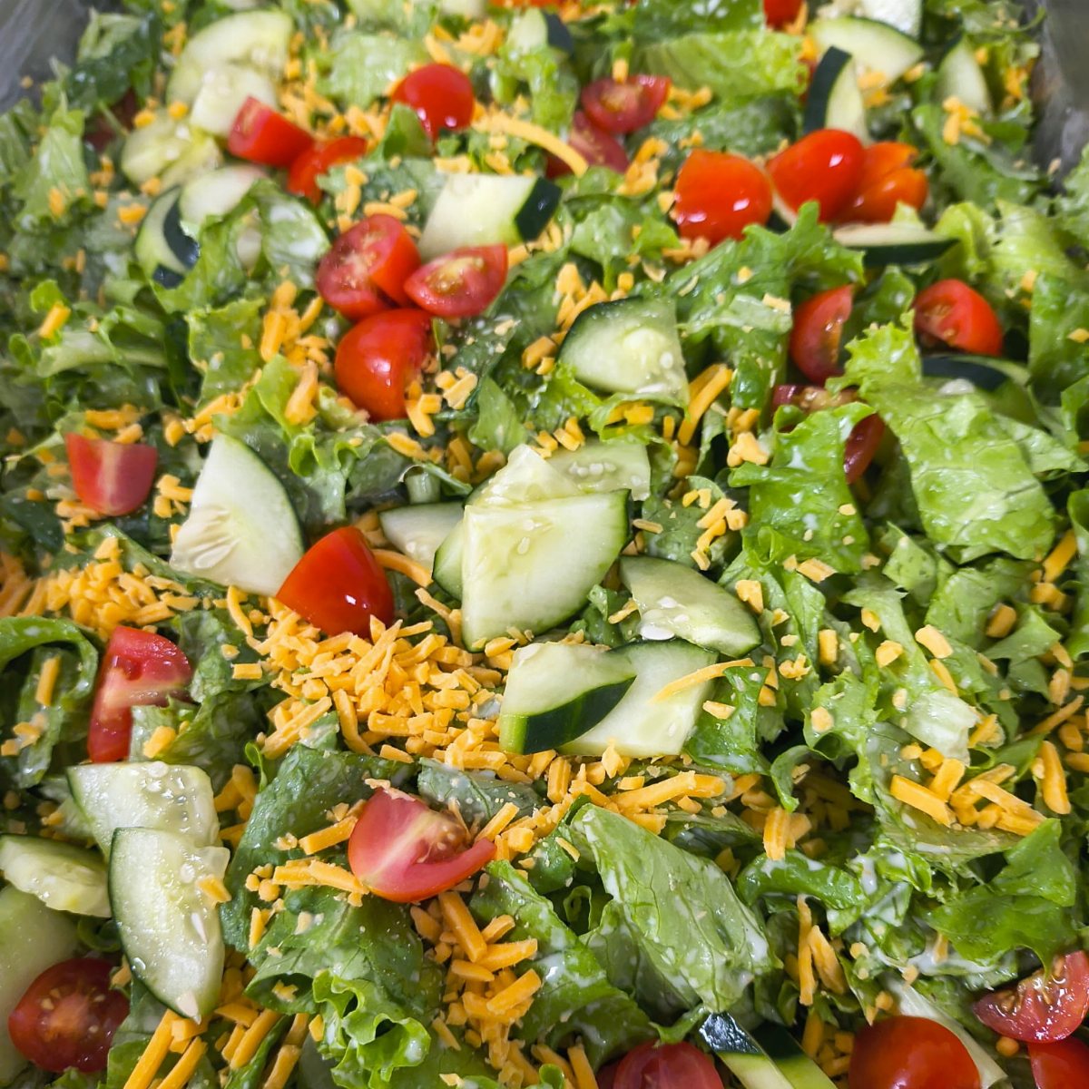 19 School Lunch Ideas for Real Mornings 12 A fresh salad with green lettuce, cucumber slices, cherry tomatoes, and shredded cheese.