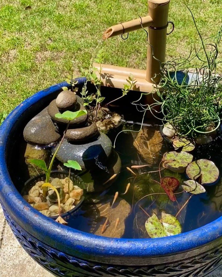 10 Backyard Pond Ideas That Bring Water, Sound and Life to Your Yard 10 Blue ceramic bowl pond with bamboo fountain, small fish, and lily pads in a garden setting.