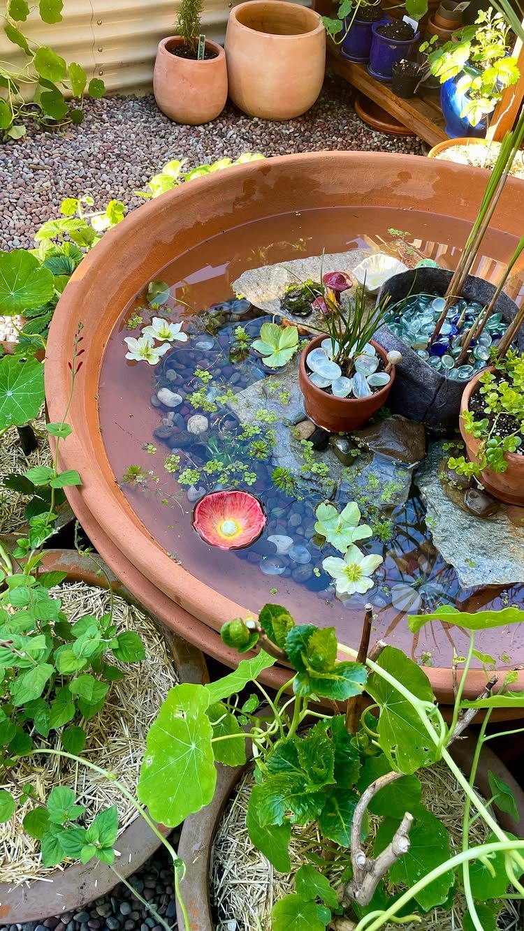 10 Backyard Pond Ideas That Bring Water, Sound and Life to Your Yard 5 A large terracotta container pond filled with water, rocks, and various aquatic plants.
