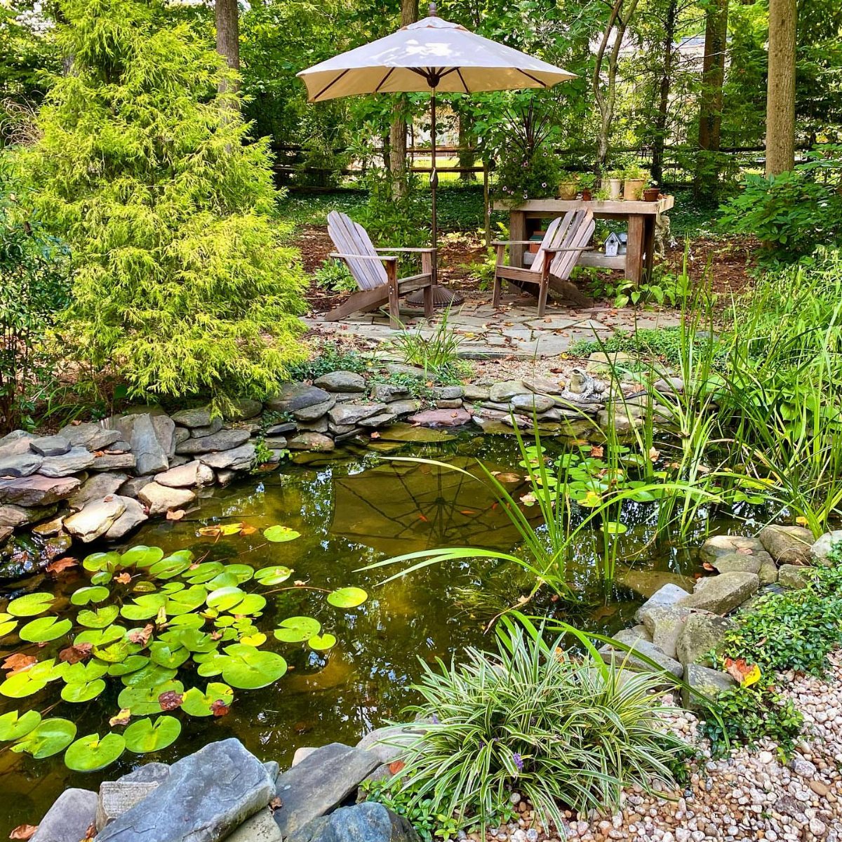 10 Backyard Pond Ideas That Bring Water, Sound and Life to Your Yard 6 A stone-lined backyard pond with green lily pads and surrounding garden plants and trees.