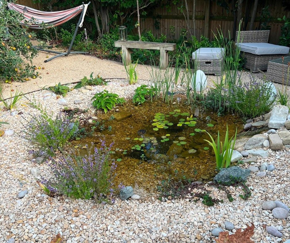 10 Backyard Pond Ideas That Bring Water, Sound and Life to Your Yard 9 A small garden pond surrounded by light gravel and various green plants and lily pads.