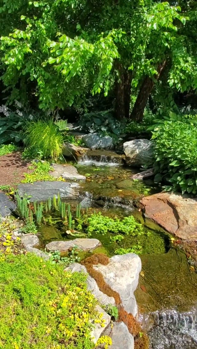 10 Backyard Pond Ideas That Bring Water, Sound and Life to Your Yard 1 A natural rock stream with small waterfalls flowing through a lush green garden.