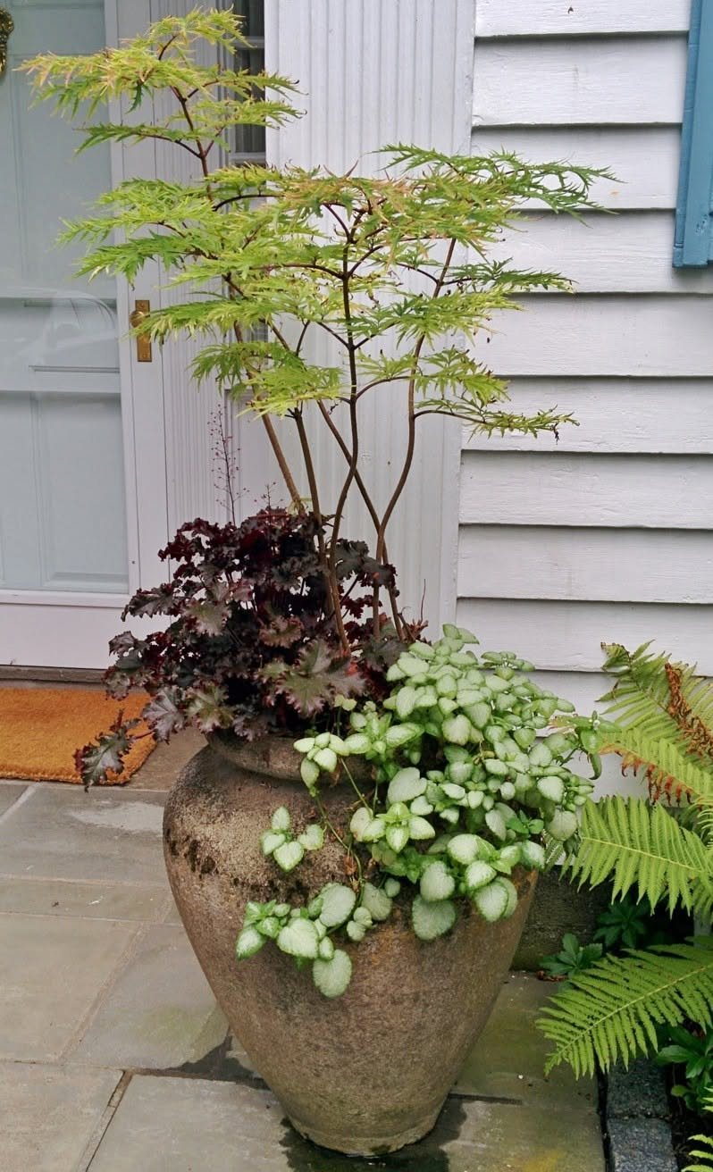 12 Container Garden Ideas for Small Patios, Balconies & Rooftops 7 A large stone urn filled with various green and burgundy plants sitting on a stone patio.