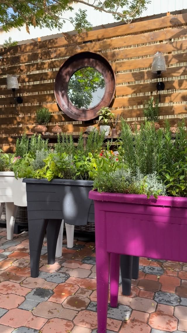 Fall Planter Ideas: 12 Container Combos for Color, Foliage and Texture 8 Rectangular planters filled with lush green herbs sitting on a stone patio outdoors.