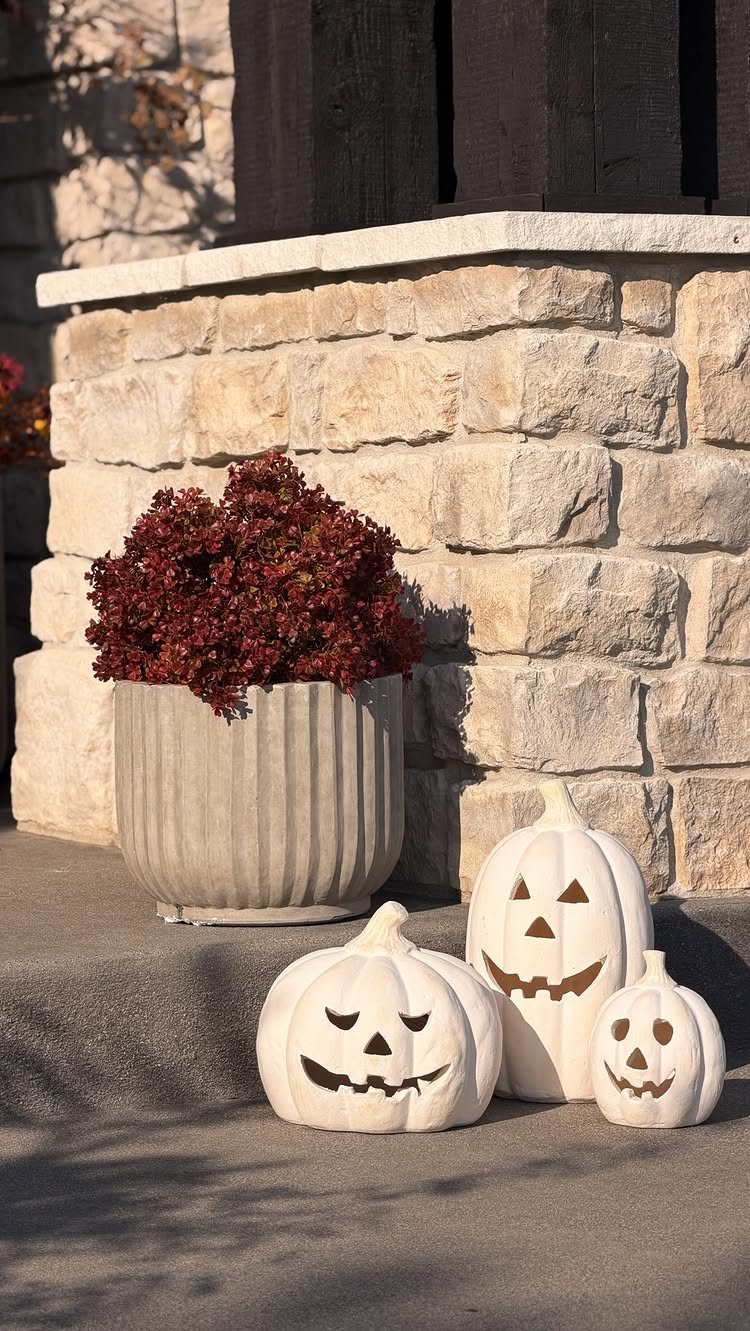 Fall Planter Ideas: 12 Container Combos for Color, Foliage and Texture 11 Red foliage in a grey fluted planter next to three white decorative pumpkins.