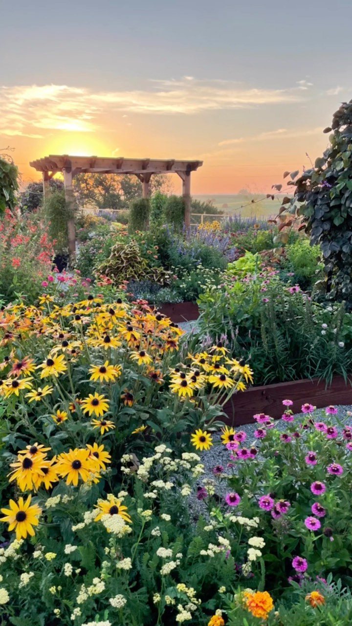19 Flower Bed Ideas for Every Corner of the Yard 6 Yellow black-eyed Susans and pink cosmos blooming in a lush, informal cottage garden at sunset.