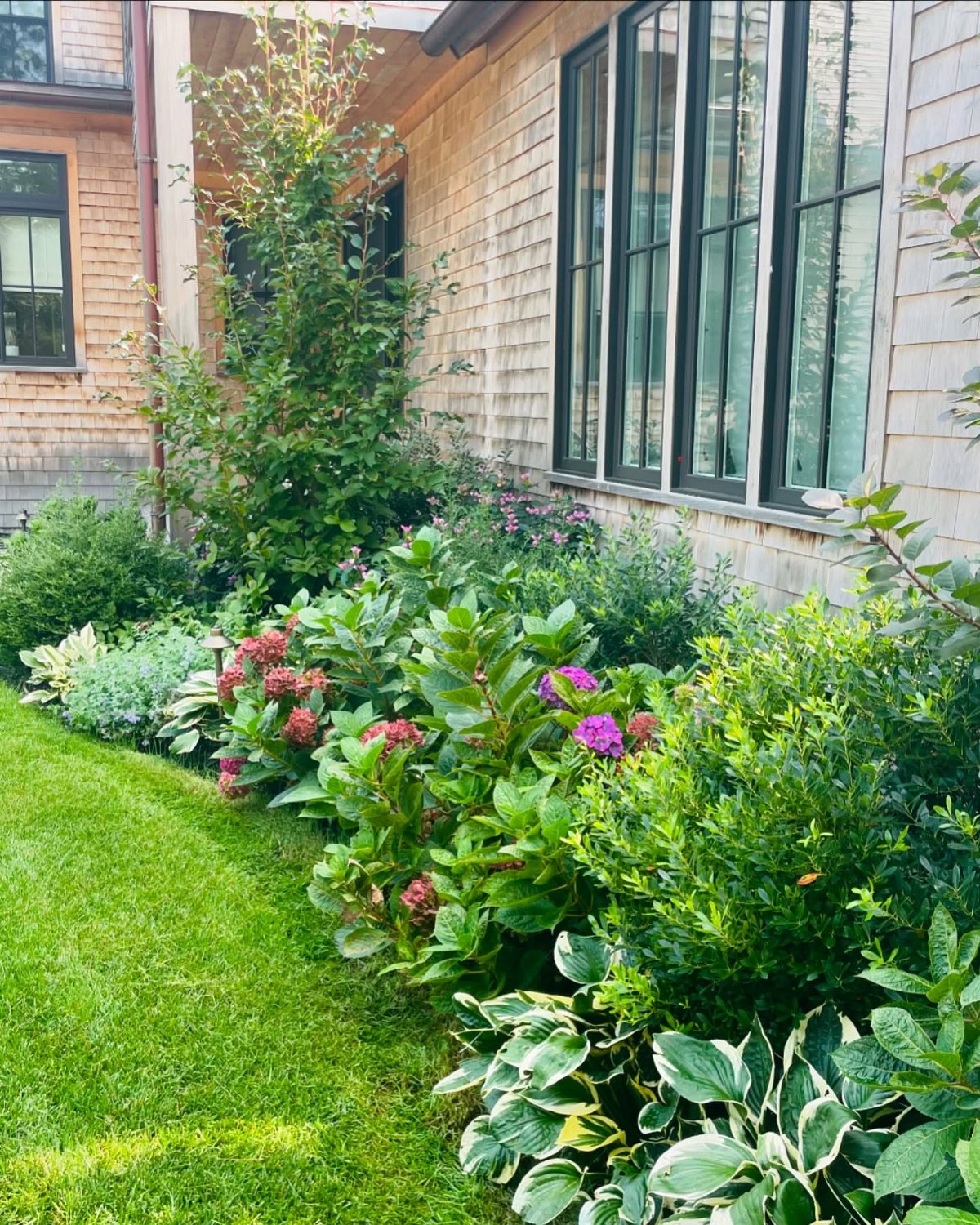 19 Flower Bed Ideas for Every Corner of the Yard 5 Lush green shrubs and pink hydrangeas planted in a foundation flower bed along a house.
