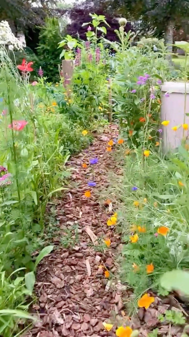 19 Flower Bed Ideas for Every Corner of the Yard 8 A mulch-covered garden path winding through tall green plants and colorful wildflowers.