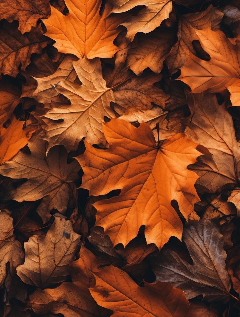 10 Free Fall Phone Backgrounds for Screen Style 9 Dried orange and brown autumn leaves layered closely together on the ground.