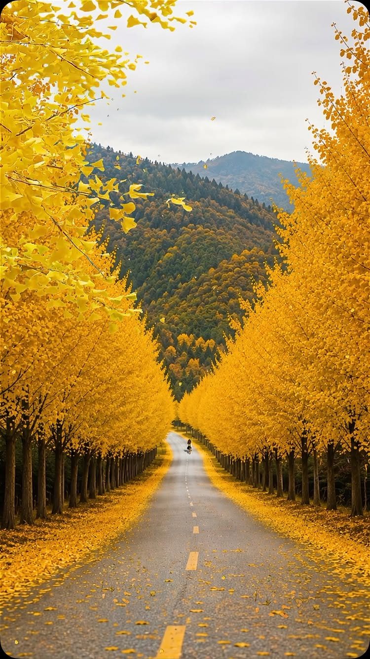 10 Free Fall Phone Backgrounds for Screen Style 2 A straight road lined with bright yellow autumn trees leading toward distant mountains.