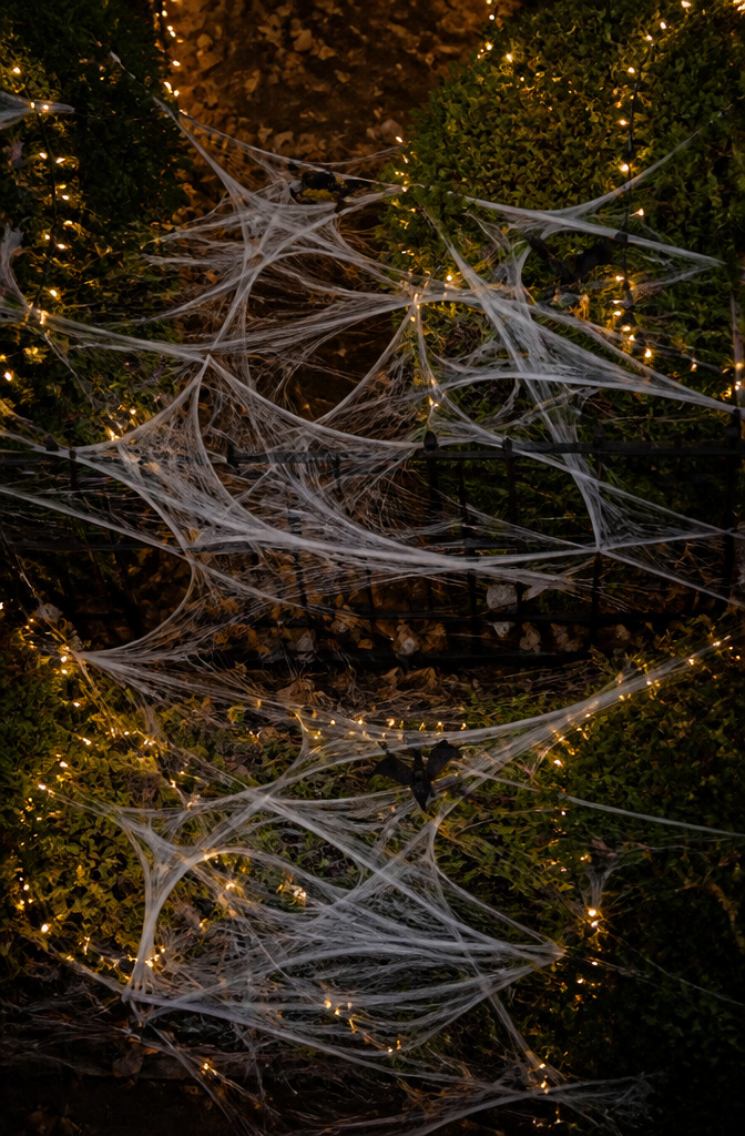 A dense arrangement of spider webbing with LED lights and plastic bats.