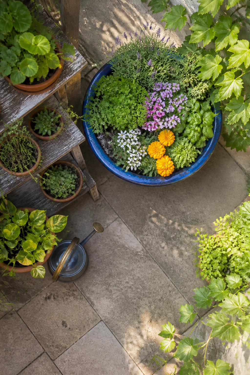 Single large ceramic pot with plants, demonstrating effective container gardening.