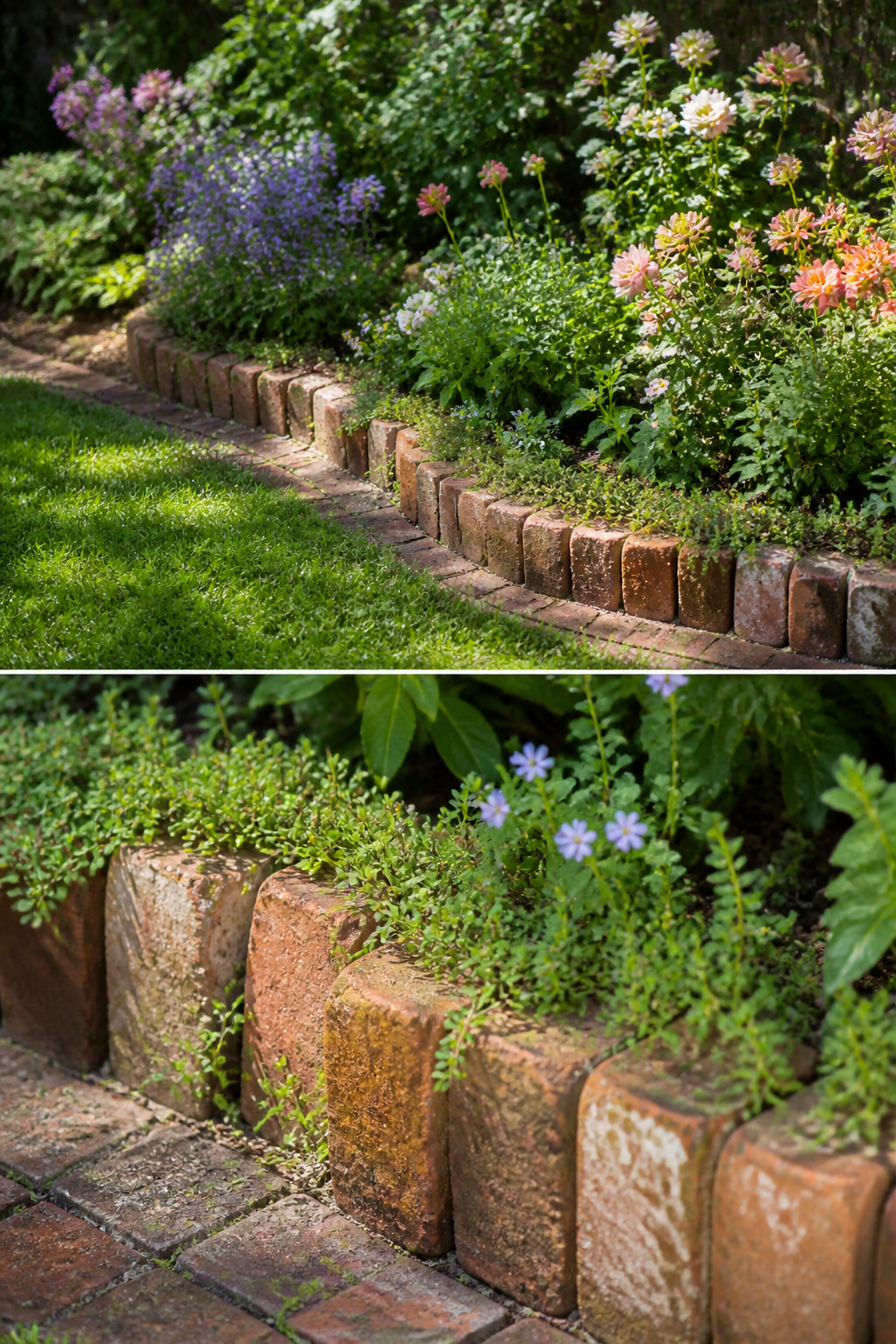 23 Brick and Rock Edging Ideas for Garden Borders (2026) 16 Old recycled bricks used for garden edging.