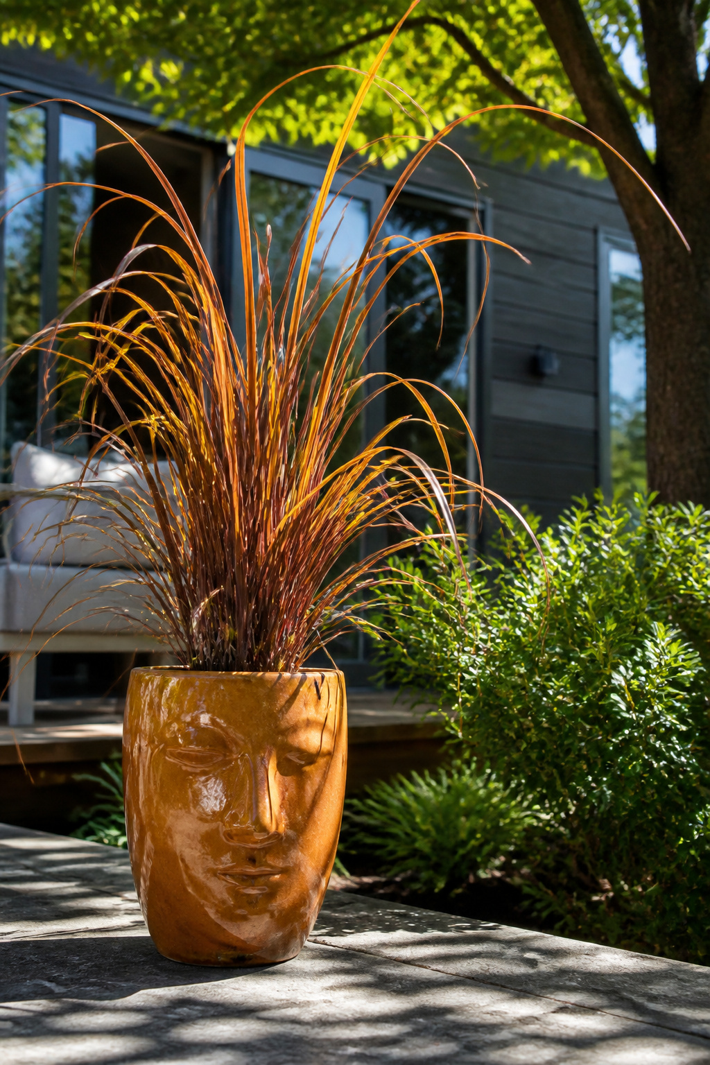 12 Face Planter Ideas: Plants That Look Like Hair in Head Pots 4 Toffee Twist Sedge with curling blades in a ceramic face planter.