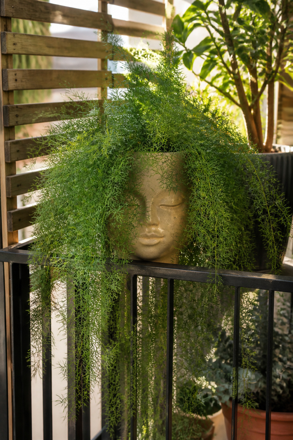 12 Face Planter Ideas: Plants That Look Like Hair in Head Pots 7 Asparagus fern cascading from the edges of a ceramic head planter.