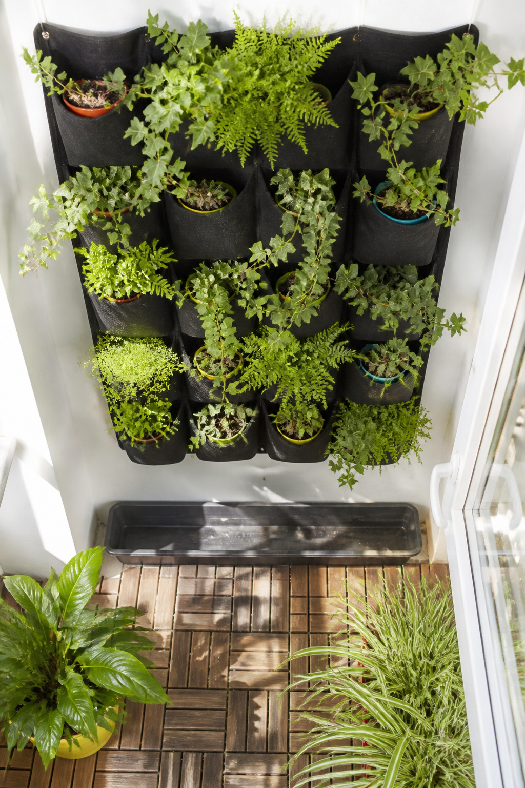 A grid of open felt pockets hanging on a wall for plant display.