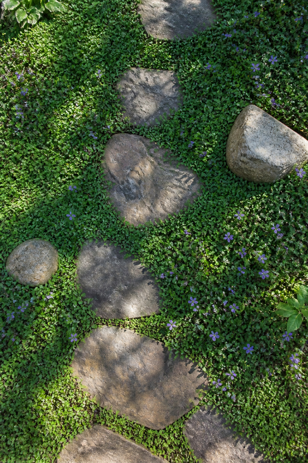 25 Low-Maintenance Landscaping Ideas for Less Work, More Living 7 A patch of creeping thyme and vinca minor in a garden.