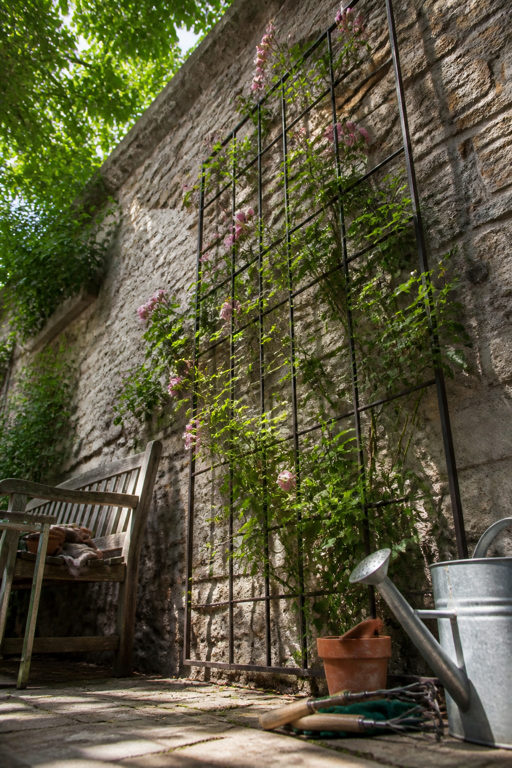10 Wall Garden Ideas for Growing Up Instead of Out 3 A metal arbor with climbing plants growing upwards.