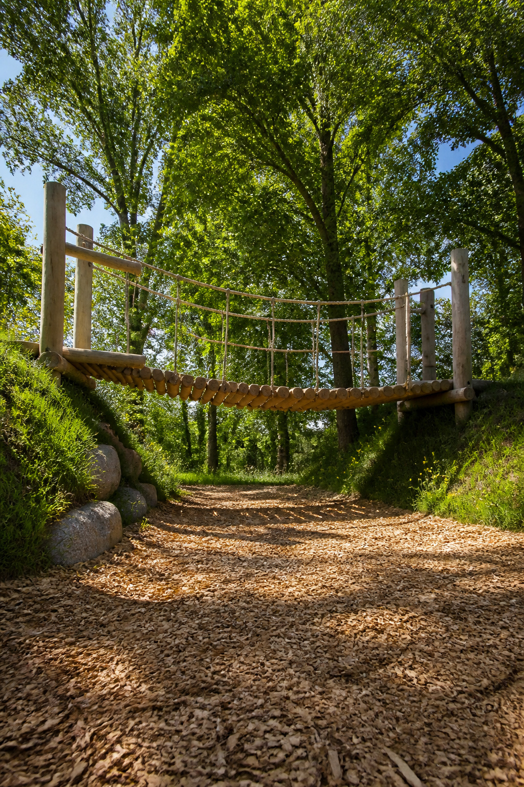 Treehouse and climbing elements in a natural playground.