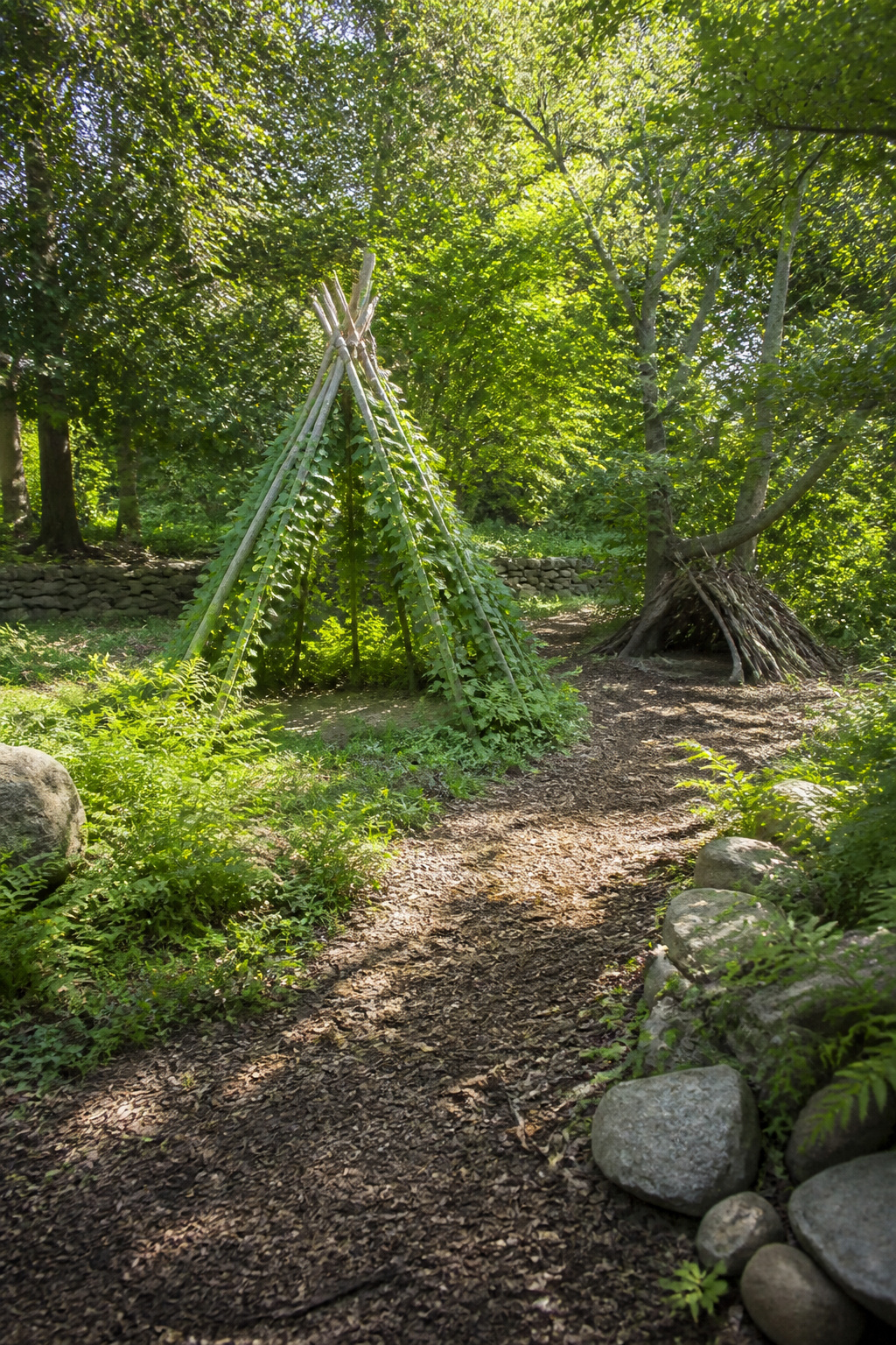 Bean teepee made from poles and climbing plants in a playground.