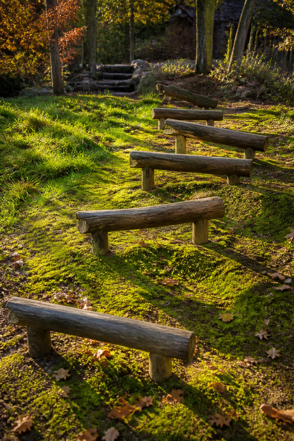 Series of balance beams made from logs set at various heights.