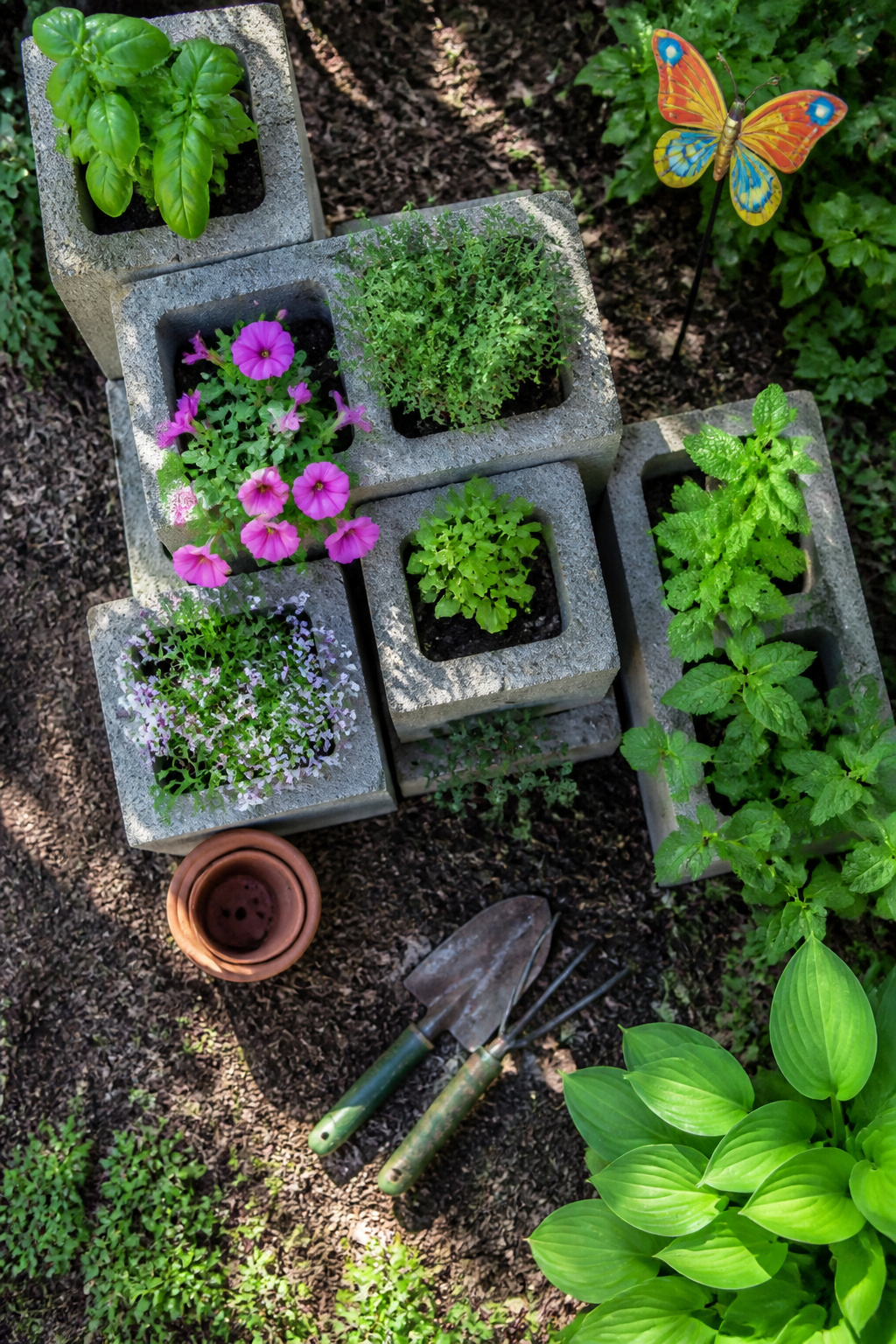 Cinderblocks stacked to form shelves for planting.