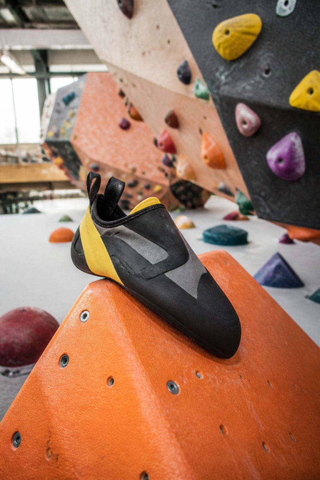 The Leopard II climbing shoe positioned on a colorful indoor climbing volume.