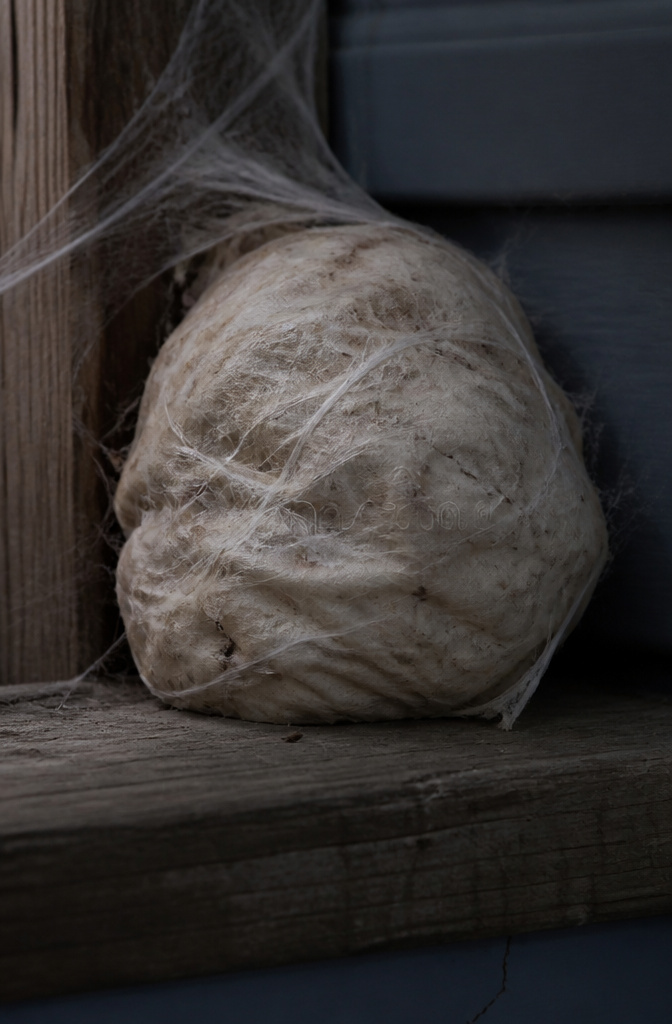 A lumpy, off-white spider egg sac decoration hung in a web.