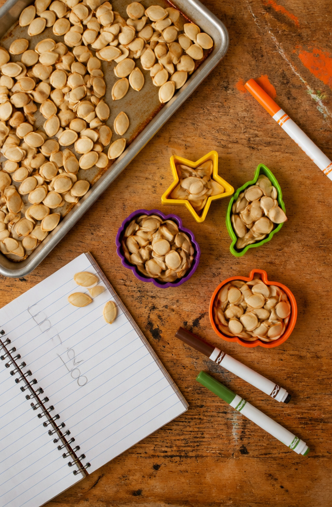 Dried pumpkin seeds arranged on a baking sheet for counting activity.