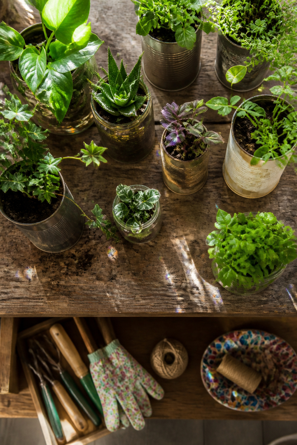 30 DIY Bohemian Decorating Ideas for Every Room in 2026 29 Various recycled containers repurposed as planters.