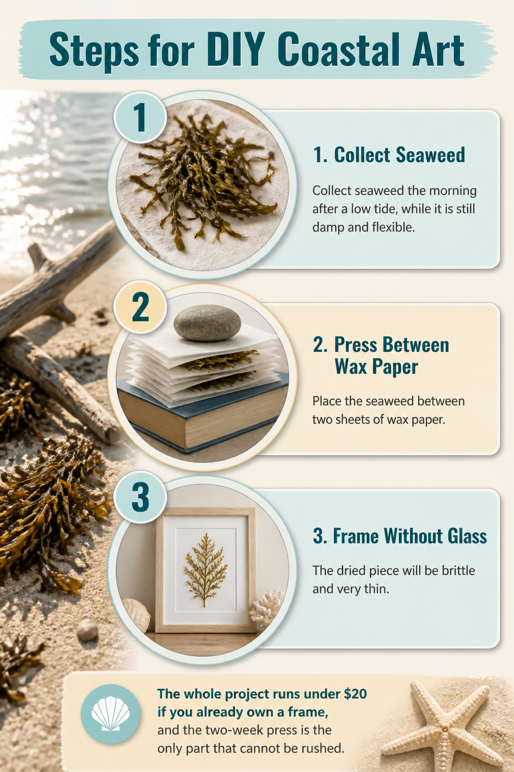 10 Coastal Decorating Ideas for Light, Airy Rooms in 2026 14 Dried seaweed art framed with a white mat and no glass.